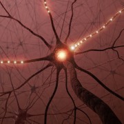 Multiple Sclerosis  related image